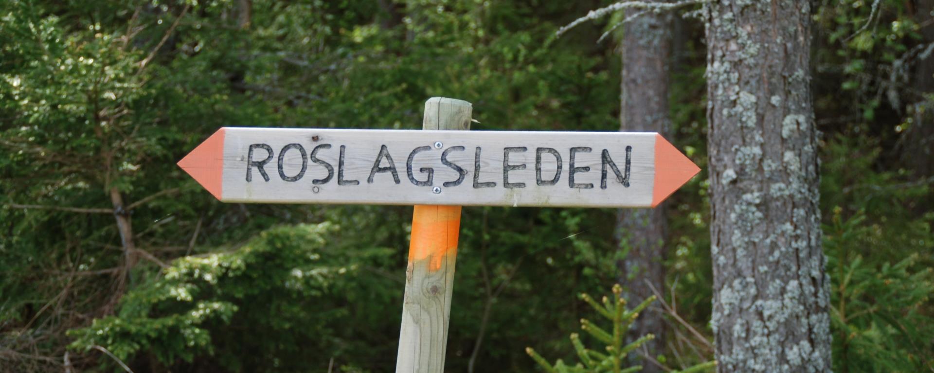 Roslagsleden, en populär vandringsled