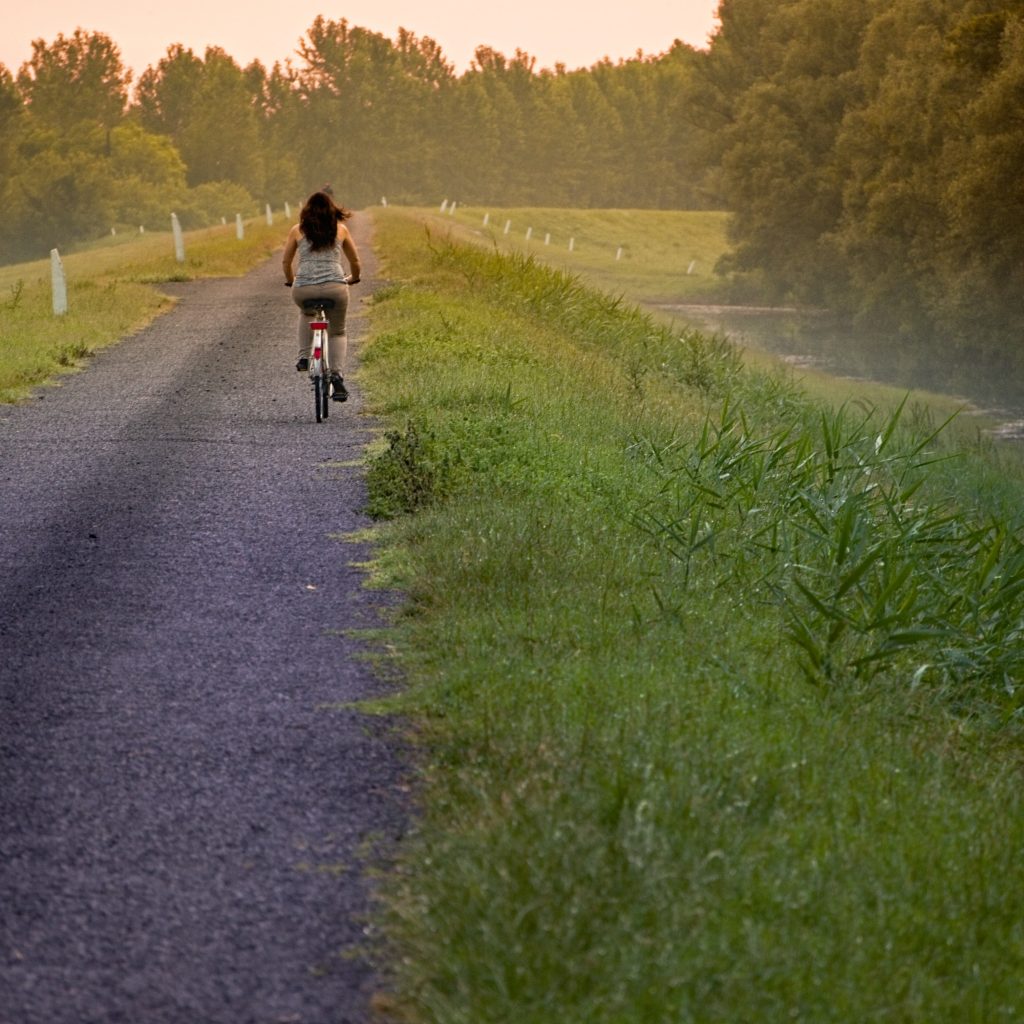 Cykelsemester. Foto: Gabor Sz